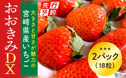 《2025年発送先行予約》【数量・期間限定】宮崎県産いちご「おおきみDX」2パック（18粒）_M260-005