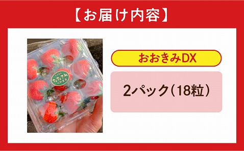 《2025年発送先行予約》【数量・期間限定】宮崎県産いちご「おおきみDX」2パック（18粒）_M260-005