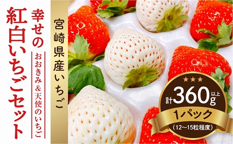 【数量・期間限定】宮崎県産 幸せの紅白いちごセット（おおきみ&天使のいちご）1パック_M260-006