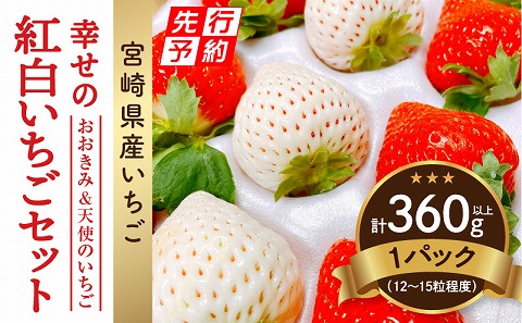 《2025年発送先行予約》【数量・期間限定】宮崎県産 幸せの紅白いちごセット（おおきみ&天使のいちご）1パック_M260-006