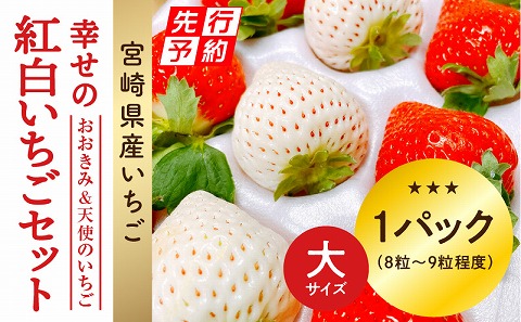 《2025年発送先行予約》【数量・期間限定】宮崎県産 幸せの紅白いちごセット（おおきみ&天使のいちご）大サイズ1パック_M260-009