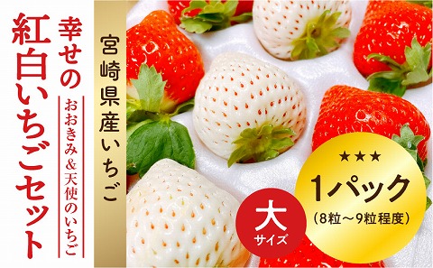 【数量・期間限定】宮崎県産 幸せの紅白いちごセット（おおきみ&天使のいちご）大サイズ1パック_M260-009