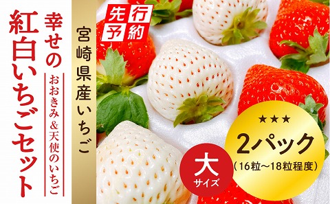 《2025年発送先行予約》【数量・期間限定】宮崎県産 幸せの紅白いちごセット（おおきみ&天使のいちご）大サイズ2パック_M260-010