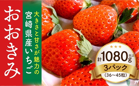 【数量・期間限定】宮崎県産いちご「おおきみDX」2パック（18粒）_M260-005