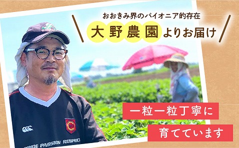 《2025年発送先行予約》【数量・期間限定】宮崎県産いちご「おおきみDX」2パック（18粒）_M260-005