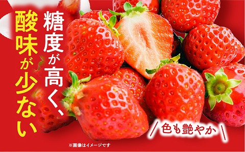 ã2026幎çºéå
è¡äºçŽããæ°éã»æééå®ãå®®åŽçç£ å¹žãã®çŽ
çœãã¡ãã»ãã(ãããã¿&倩䜿ã®ãã¡ã)3ããã¯_M260-012