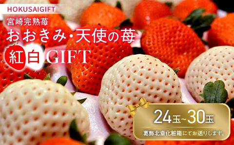《2026年発送》【数量・期間限定】HOKUSAIGIFT宮崎完熟苺おおきみ・天使の苺紅白 いちご イチゴ 苺 果物 フルーツ_M279-001