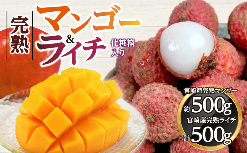 《2026年発送先行予約》【数量・期間限定】宮崎マンゴー4L×1・宮崎ライチ12玉_M279-004
