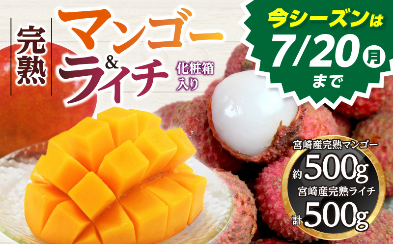 《2026年発送先行予約》【数量・期間限定】宮崎マンゴー4L×1・宮崎ライチ12玉 国産 マンゴー ライチ 果物 フルーツ 詰め合わせ セット 宮崎マンゴー 宮崎ライチ 国産マンゴー 国産ライチ 宮崎県産 完熟 化粧箱入り 化粧箱 ギフト グルメ お取り寄せ_M279-004