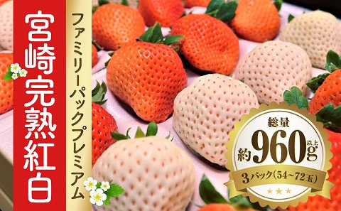 《2026年発送》【数量・期間限定】宮崎完熟紅白ファミリーパックプレミアム 苺 いちご イチゴ おおきみ苺 おおきみいちご 紅白苺 白イチゴ 白苺 白いちご 天使のいちご 果物 くだもの フルーツ ギフト 贈り物 贈答 食べ比べ_M279-008