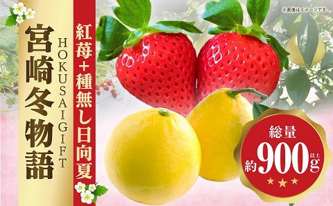 《2026年発送》【数量・期間限定】宮崎冬物語HOKUSAIGIFT紅苺＋種無し日向夏 苺 いちご イチゴ おおきみ苺 おおきみいちご 日向夏 柑橘類 柑橘 果物 くだもの フルーツ ギフト 贈り物_M279-011