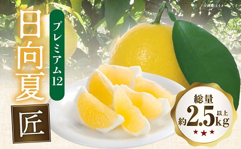 《2026年発送先行予約》【数量・期間限定】日向夏「匠」プレミアム12_M279-012