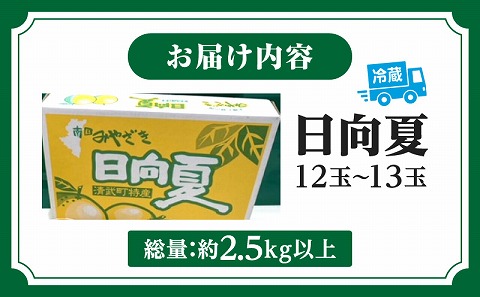 《2025年発送先行予約》【期間・数量限定】日向夏「匠」プレミアム12_M279-012