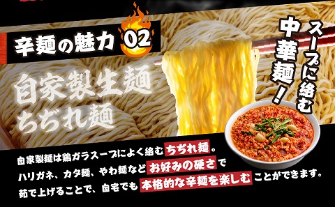 風来軒 宮崎辛麺「中野屋」（常温生麺）2食入×3袋_M285-002