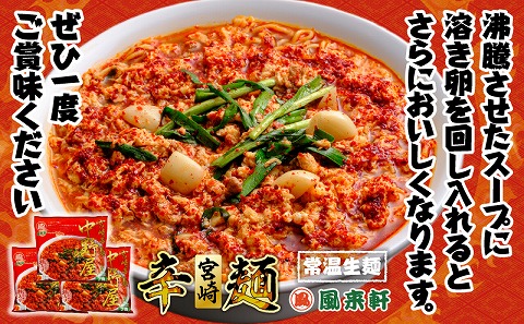 風来軒 宮崎辛麺「中野屋」（常温生麺）2食入×3袋_M285-002