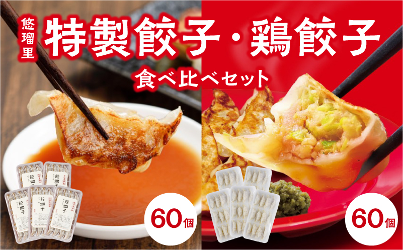 悠瑠里特製餃子60個&鶏餃子60個 食べ比べセット_M293-006