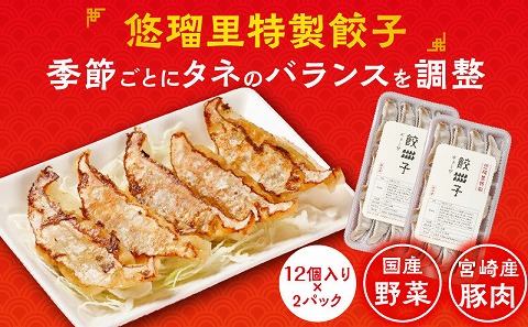 悠瑠里しょうゆら～めん4食セット×悠瑠里特製餃子2P×鶏餃子2P_M293-009