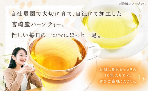 モリンガ茶・カモミールティー10パックセット_M295-009