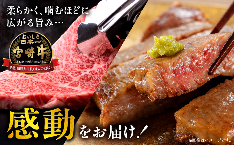 å®®åŽçããŒã¹ã¹ããŒã500ïœ_M299-005