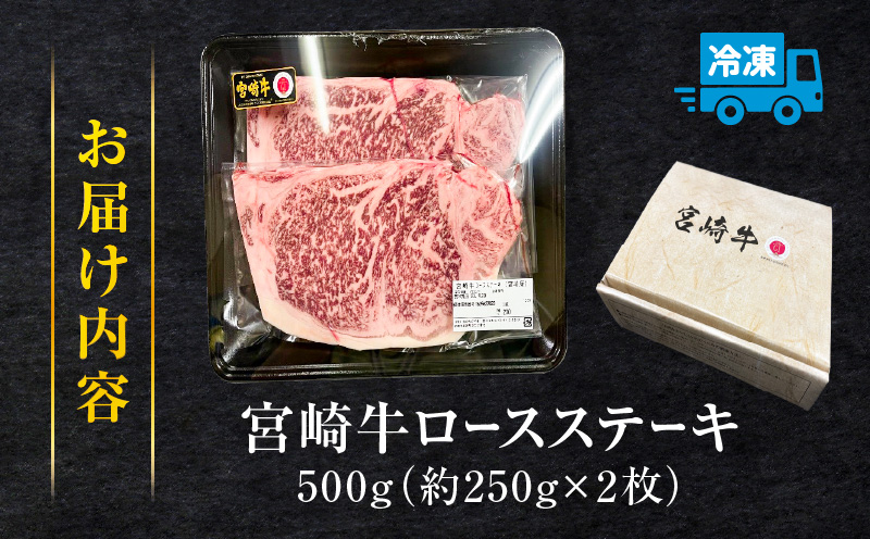 å®®åŽçããŒã¹ã¹ããŒã500ïœ_M299-005