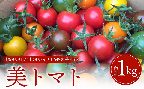 美トマト（5色）1kg_M317-002