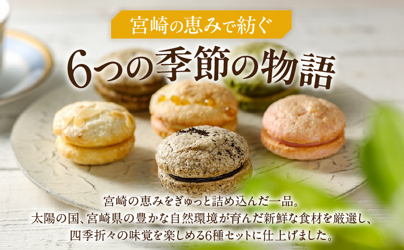 Dolce-Do ãã«ãã§ãŒã 6çš®ã»ãã_M319-008