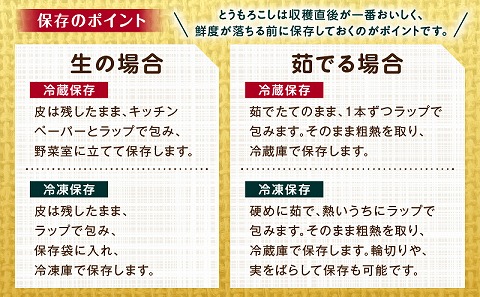 《2025年発送先行予約》宮崎市産朝どれスイートコーン（ゴールドラッシュ）約7kg_M320-001_01