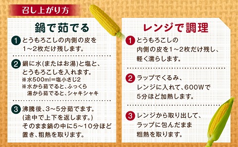 《2025年発送先行予約》宮崎市産朝どれスイートコーン（ゴールドラッシュ）約7kg_M320-001_01