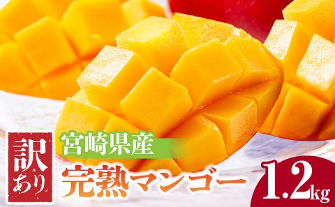 《2026年発送先行予約》【数量・期間限定】宮崎県産 訳あり完熟マンゴー 1.2kg_M320-005