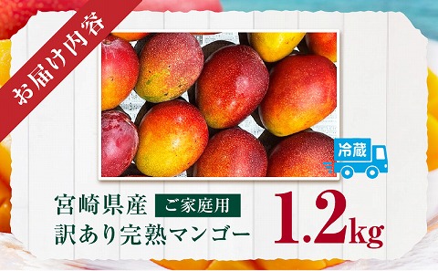 《2025年発送先行予約》宮崎県産 訳あり完熟マンゴー 1.2kg_M320-005