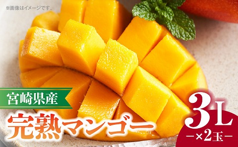 《2026年発送先行予約》【数量・期間限定】宮崎県産完熟マンゴー 3L×2玉_M320-006