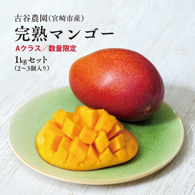《2026年発送先行予約》【数量・期間限定】古谷農園の宮崎完熟マンゴー Aクラス 約1kg 完熟マンゴー 果物 果実くだもの_M322-009