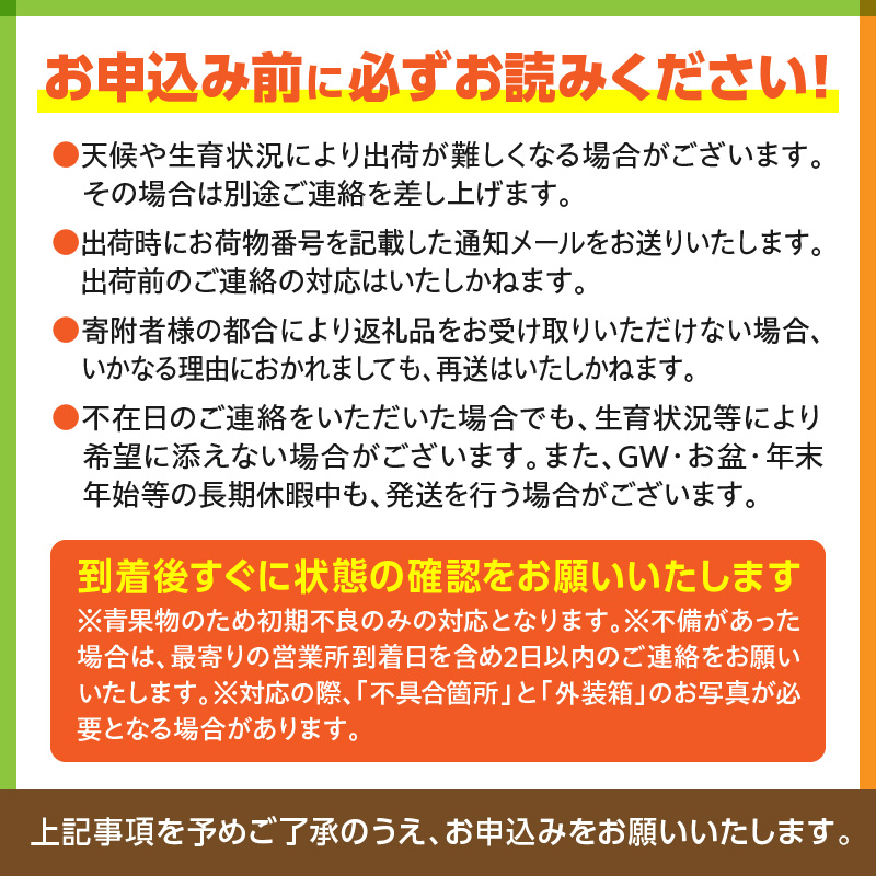 《2026年発送先行予約》【数量・期間限定】古谷農園の宮崎完熟マンゴー Aクラス 約1kg 完熟マンゴー 果物 果実くだもの_M322-009