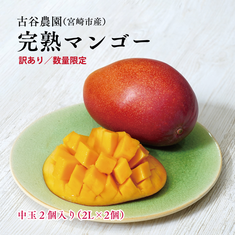 《2026年発送先行予約》【数量・期間限定】《訳あり》古谷農園の宮崎完熟マンゴー 中玉2個セット マンゴー 果物 フルーツ_M322-010