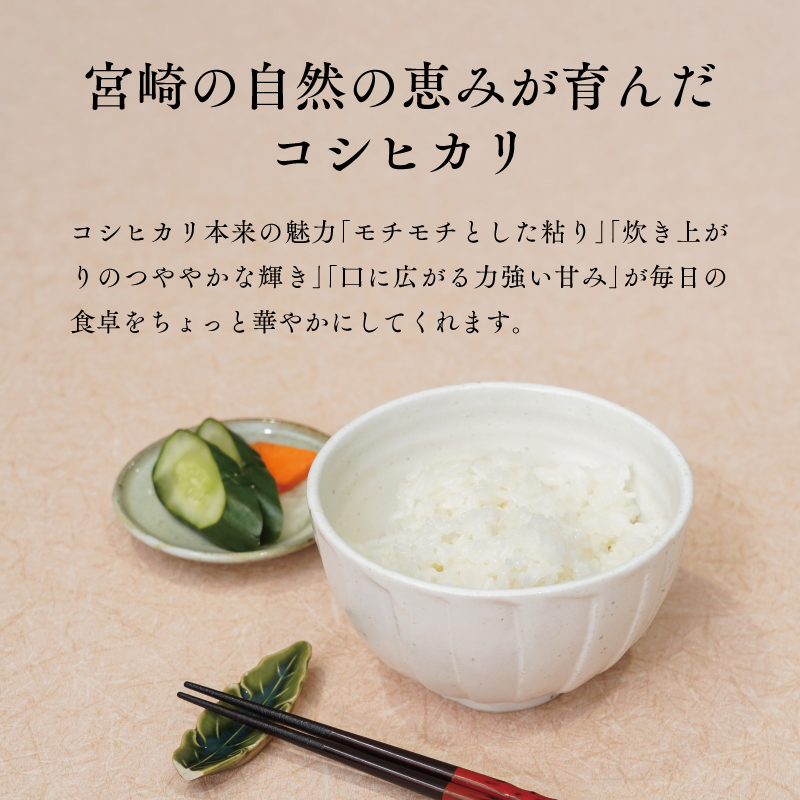 《令和8年度産 先行予約》【数量・期間限定】 井野農園のコシヒカリ お米 ご飯 ごはん おにぎり _M322-011
