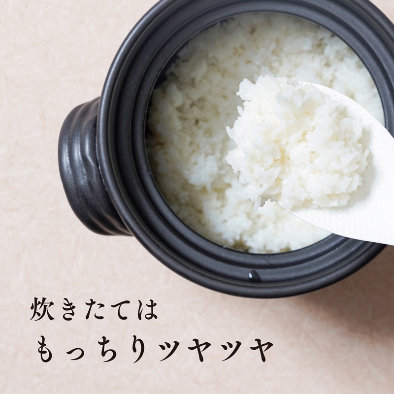 《令和8年度産 先行予約》【数量・期間限定】 井野農園のコシヒカリ お米 ご飯 ごはん おにぎり _M322-011