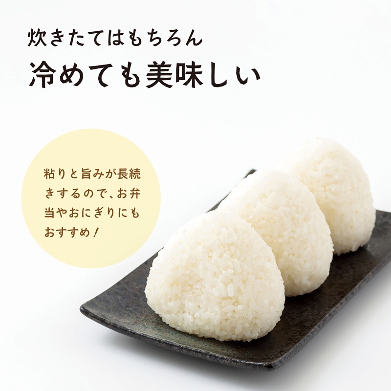 《令和8年度産 先行予約》【数量・期間限定】 井野農園のコシヒカリ お米 ご飯 ごはん おにぎり _M322-011
