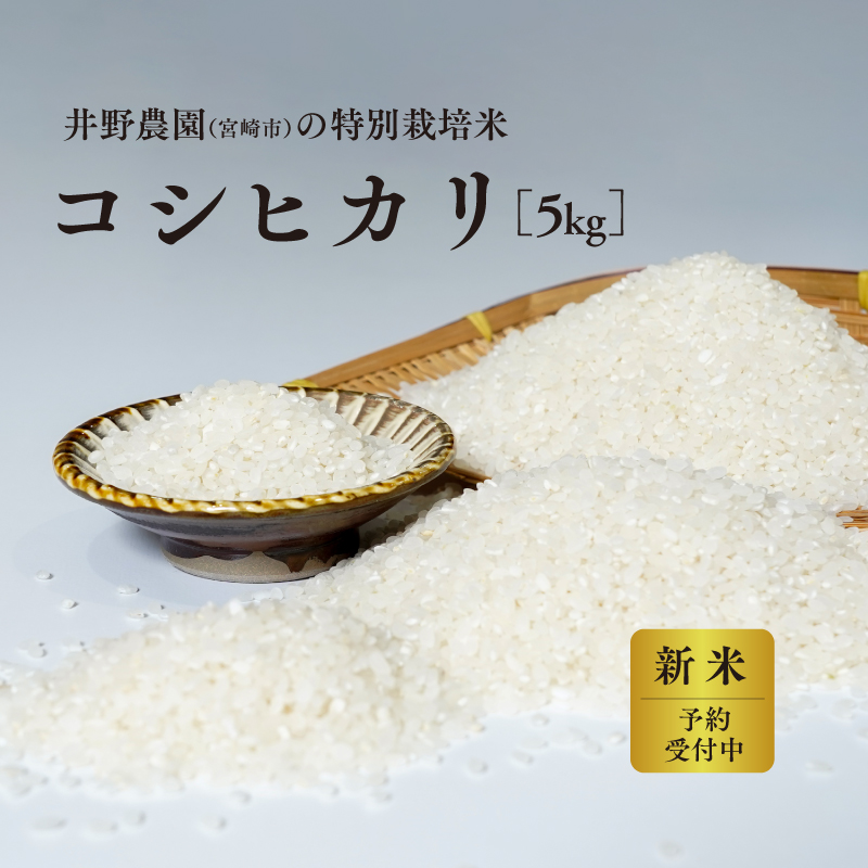 《令和8年度産 先行予約》【数量・期間限定】 井野農園のコシヒカリ お米 ご飯 ごはん おにぎり _M322-011