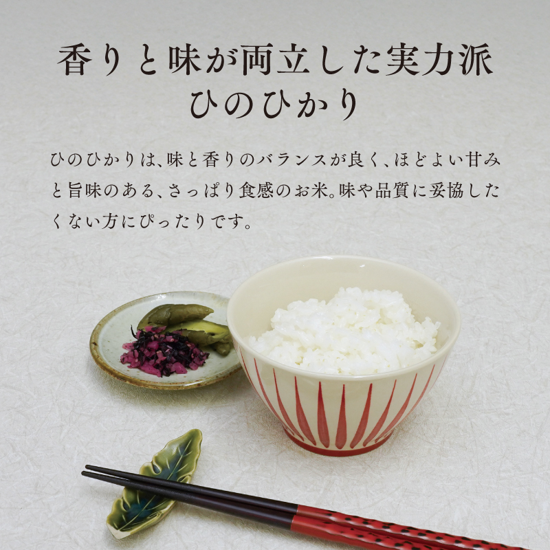 《令和8年度産 先行予約》【数量・期間限定】井野農園のひのひかり 米 ご飯 ごはん おにぎり 新米_M322-012