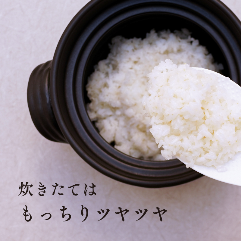 《令和8年度産 先行予約》【数量・期間限定】井野農園のひのひかり 米 ご飯 ごはん おにぎり 新米_M322-012