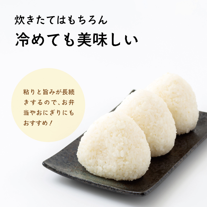《令和8年度産 先行予約》【数量・期間限定】井野農園のひのひかり 米 ご飯 ごはん おにぎり 新米_M322-012