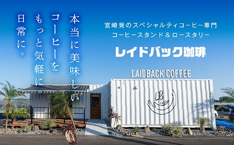 レイドバックコーラ 宮崎県産塩とレモン クラフトコーラ コーラ コーラシロップ 炭酸割り お湯割り ミルク割り 塩 レモン 日向夏 スパイス _M326-004