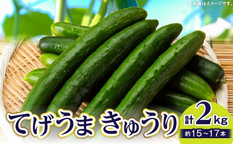 てげうま きゅうり 2kg_M334-002