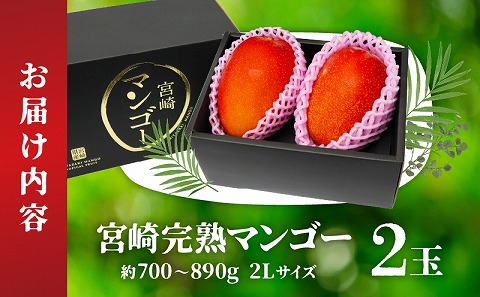 《2025年発送先行予約》【期間・数量限定】宮崎完熟マンゴー 約700～890g 2Lサイズ（2玉）_M338-002