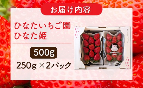 【期間・数量限定】ひなたいちご園【ひなた姫】いちご 500g（250g×2P）_M338-009-01