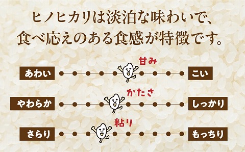 宮崎県産ヒノヒカリ 5kg×2袋 合計10kg_M343-001