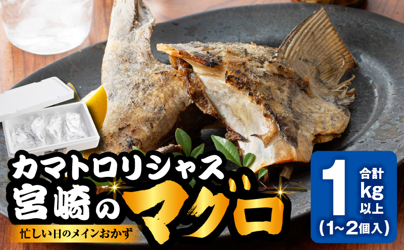 カマトロリシャス宮崎のマグロ カマ焼き キハダマグロ 新鮮_M352-003