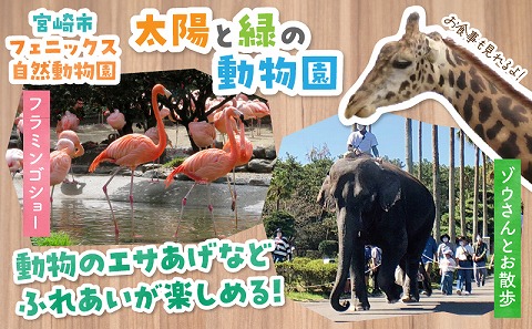 宮崎市フェニックス自然動物園＆フローランテ宮崎共通年間パスポート（大人）_M353-003-02