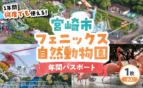 宮崎市フェニックス自然動物園年間パスポート（小人）_M353-004-01