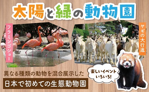 宮崎市フェニックス自然動物園年間パスポート（小人）_M353-004-01